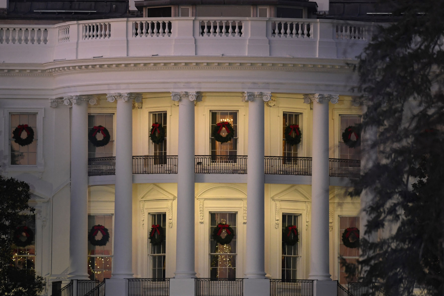 Trump Christmas Tree